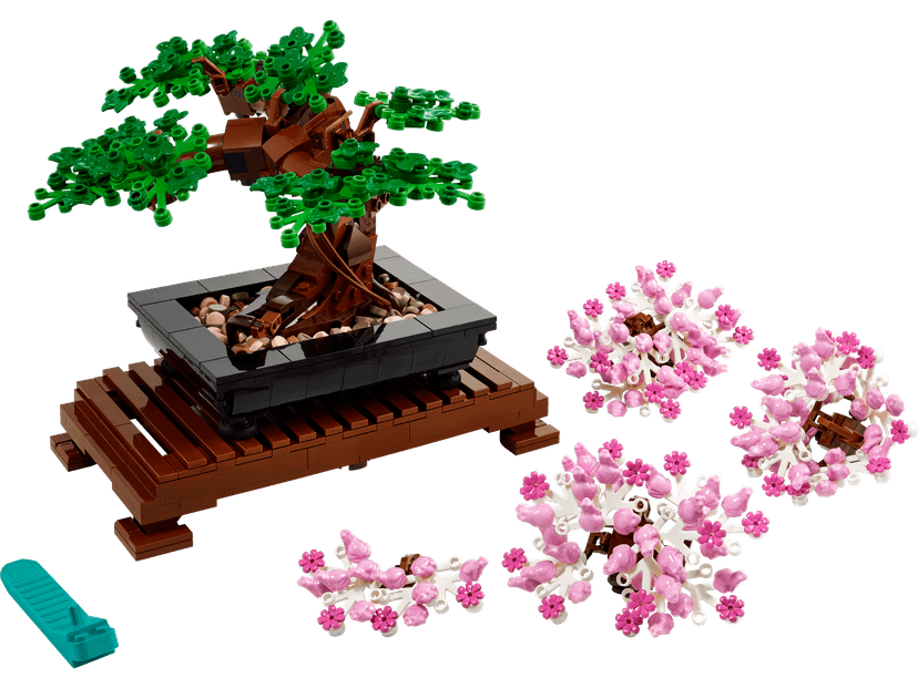 Bonsai Tree